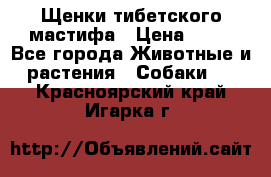 Щенки тибетского мастифа › Цена ­ 80 - Все города Животные и растения » Собаки   . Красноярский край,Игарка г.